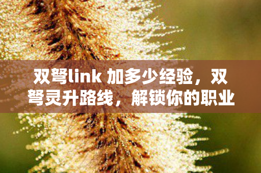 双弩link 加多少经验，双弩灵升路线，解锁你的职业成长新篇章