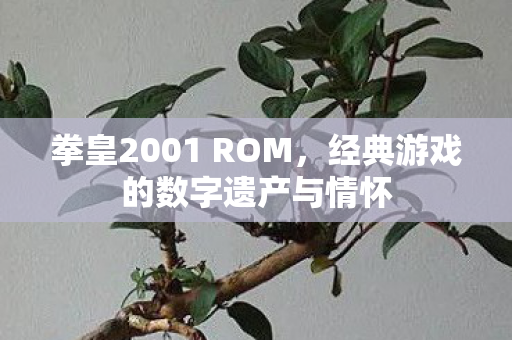 拳皇2001 ROM，经典游戏的数字遗产与情怀