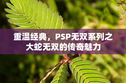 PSP无双系列之大蛇无双的传奇魅力图片
