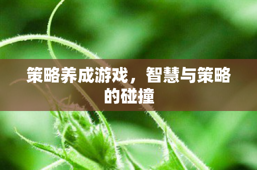 策略养成游戏，智慧与策略的碰撞