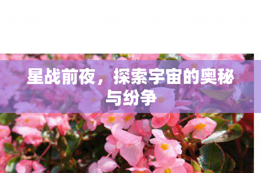 星战前夜，探索宇宙的奥秘与纷争