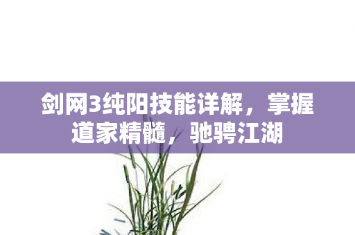 剑网3纯阳技能详解，掌握道家精髓，驰骋江湖