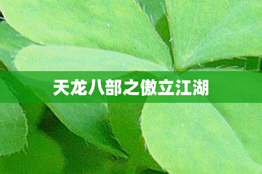 天龙八部之傲立江湖