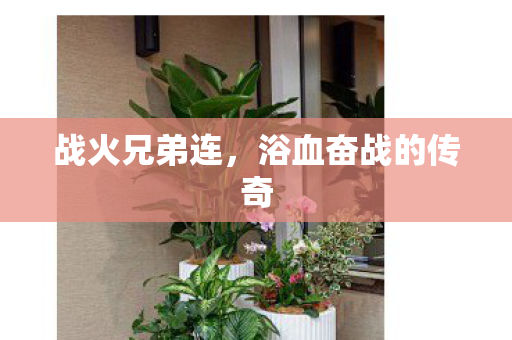 战火兄弟连，浴血奋战的传奇