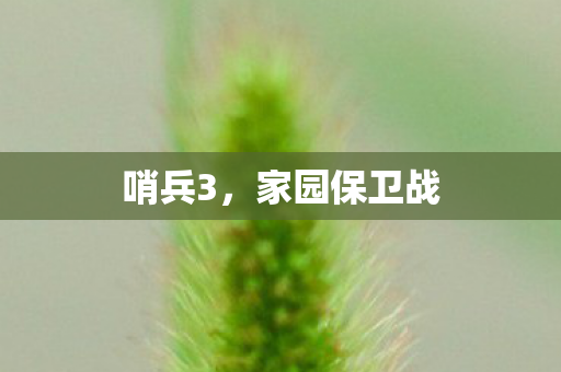 哨兵3，家园保卫战