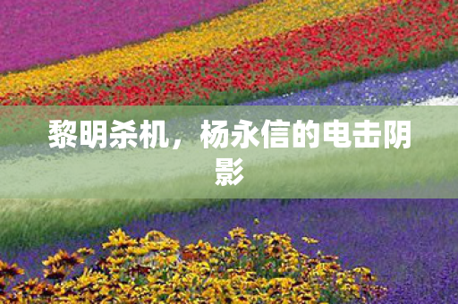 黎明杀机，杨永信的电击阴影