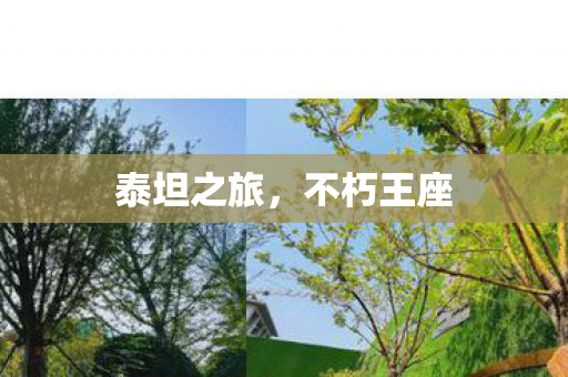 泰坦之旅，不朽王座