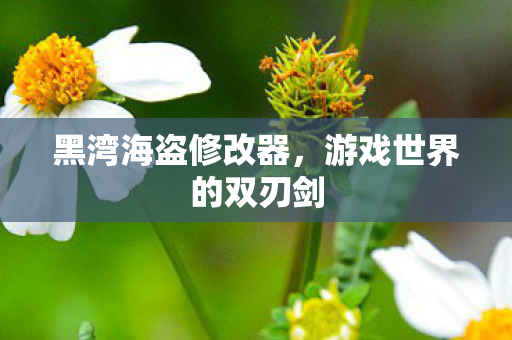 黑湾海盗修改器，游戏世界的双刃剑