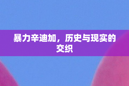 暴力辛迪加，历史与现实的交织