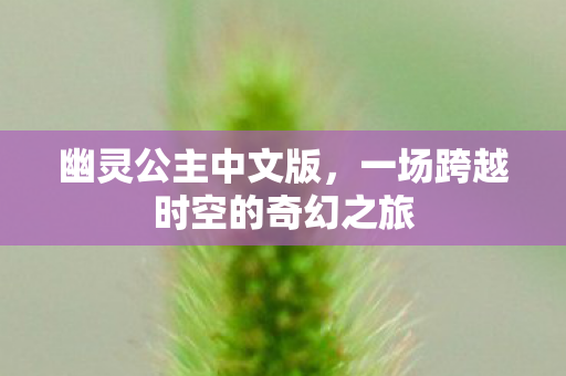 幽灵公主中文版，一场跨越时空的奇幻之旅