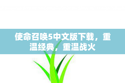 使命召唤5中文版下载，重温经典，重温战火