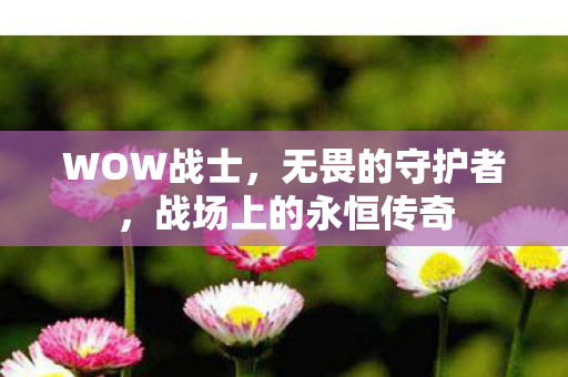WOW战士，无畏的守护者，战场上的永恒传奇