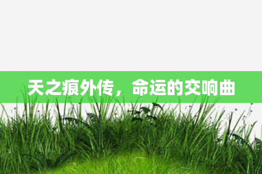 命运的交响曲图片