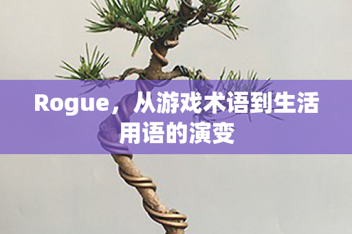 Rogue，从游戏术语到生活用语的演变