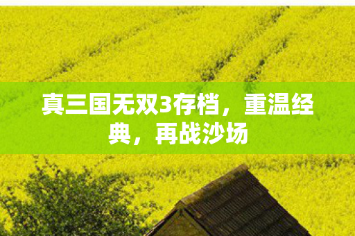 真三国无双3存档，重温经典，再战沙场