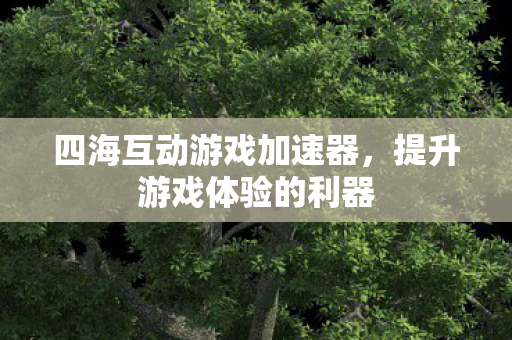 四海互动游戏加速器图片