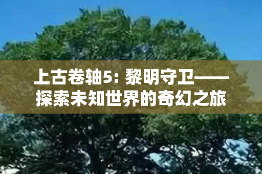 上古卷轴5: 黎明守卫——探索未知世界的奇幻之旅