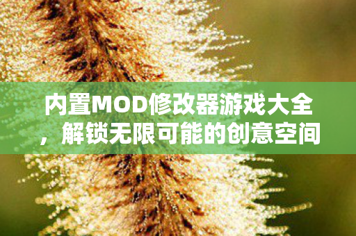 内置MOD修改器游戏大全，解锁无限可能的创意空间