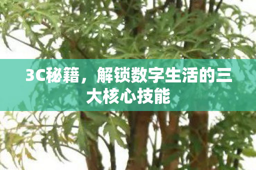 3C秘籍，解锁数字生活的三大核心技能