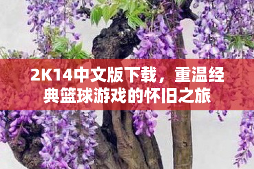 2K14中文版下载，重温经典篮球游戏的怀旧之旅