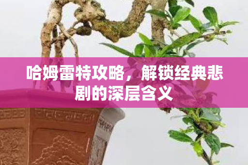 哈姆雷特攻略，解锁经典悲剧的深层含义