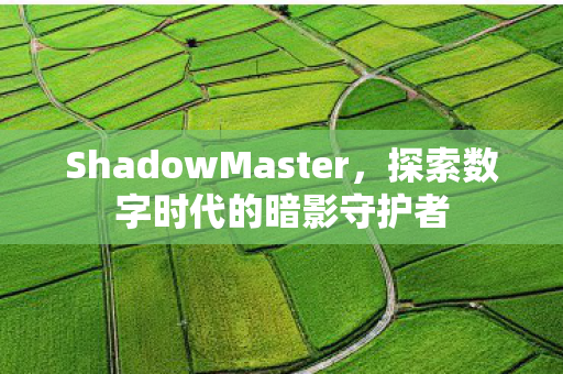 ShadowMaster，探索数字时代的暗影守护者
