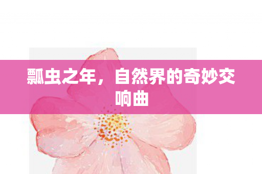 瓢虫之年，自然界的奇妙交响曲