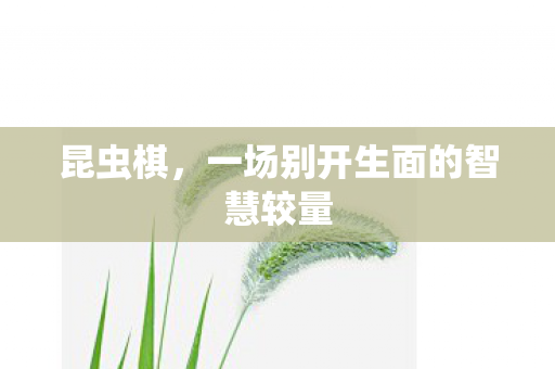 昆虫棋，一场别开生面的智慧较量