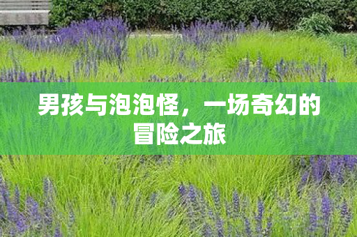 男孩与泡泡怪，一场奇幻的冒险之旅