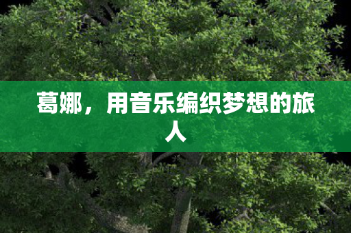 葛娜，用音乐编织梦想的旅人