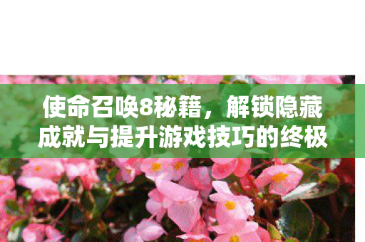 使命召唤8秘籍，解锁隐藏成就与提升游戏技巧的终极指南