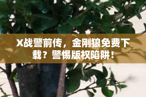 X战警前传，金刚狼免费下载？警惕版权陷阱！