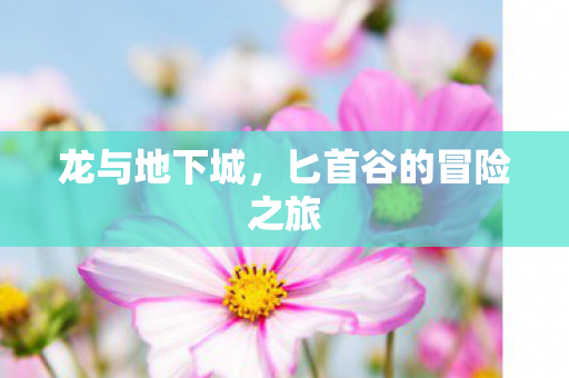 龙与地下城，匕首谷的冒险之旅