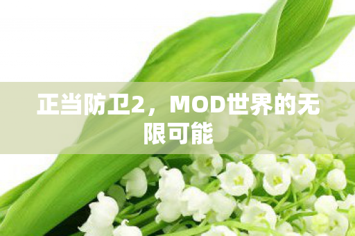 正当防卫2，MOD世界的无限可能