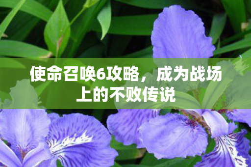 使命召唤6攻略，成为战场上的不败传说