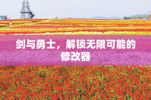 剑与勇士，解锁无限可能的修改器