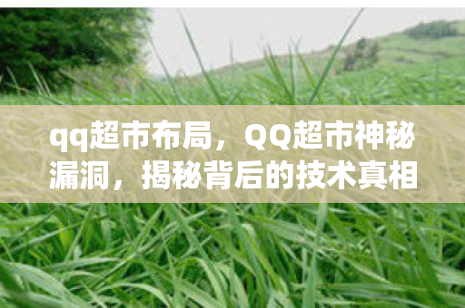 qq超市布局,QQ超市神秘漏洞,揭秘背后的技术真相 qq超市布局,QQ超市神秘漏洞,揭秘背后的技术真相