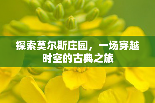 探索莫尔斯庄园，一场穿越时空的古典之旅