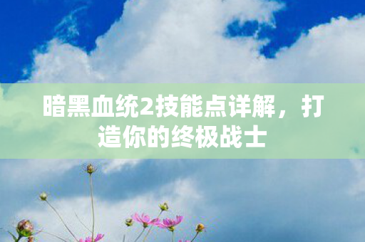 暗黑血统2技能点详解，打造你的终极战士