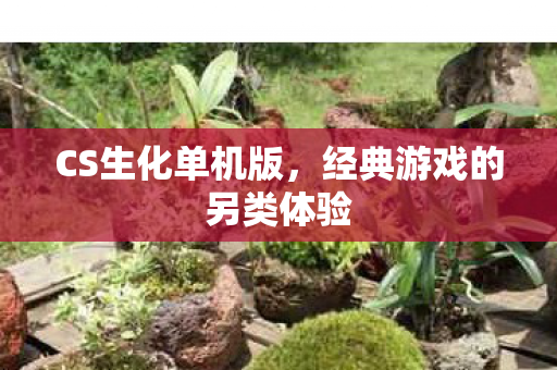 经典游戏的另类体验图片