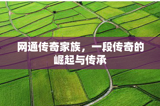 网通传奇家族，一段传奇的崛起与传承