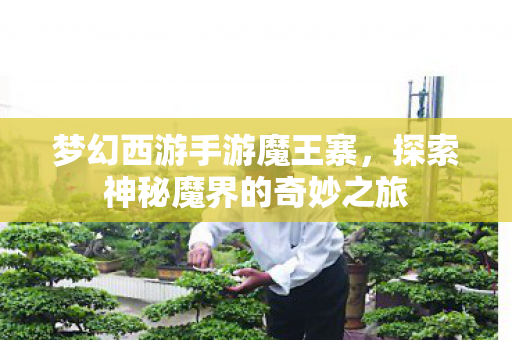 梦幻西游手游魔王寨，探索神秘魔界的奇妙之旅