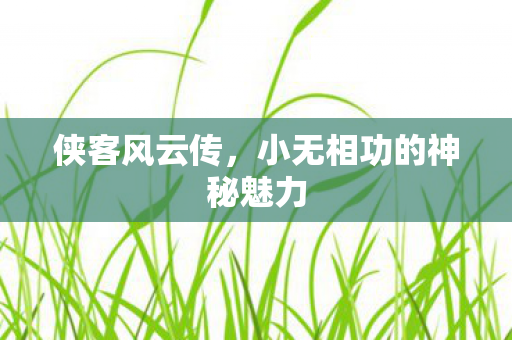 侠客风云传，小无相功的神秘魅力
