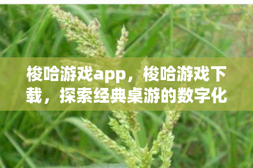 梭哈游戏app，梭哈游戏下载，探索经典桌游的数字化魅力