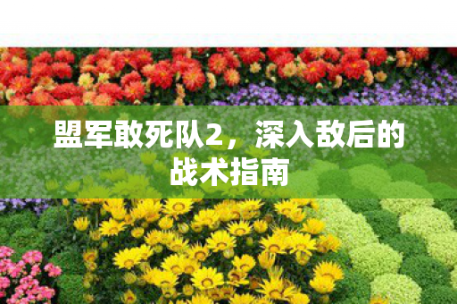 盟军敢死队2，深入敌后的战术指南