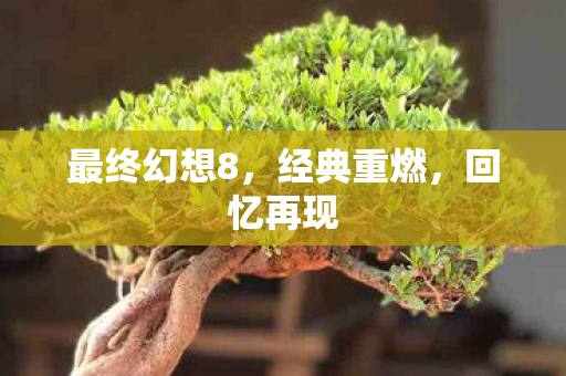 最终幻想8，经典重燃，回忆再现