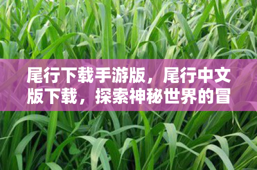 尾行下载手游版，尾行中文版下载，探索神秘世界的冒险之旅