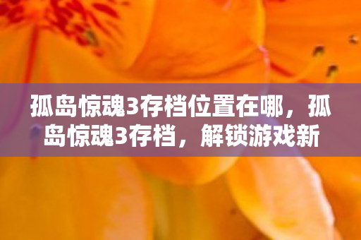 孤岛惊魂3存档位置在哪图片