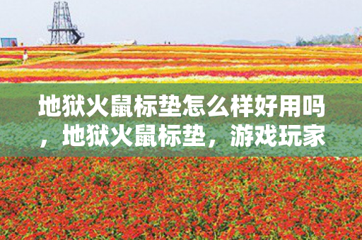 地狱火鼠标垫怎么样好用吗图片