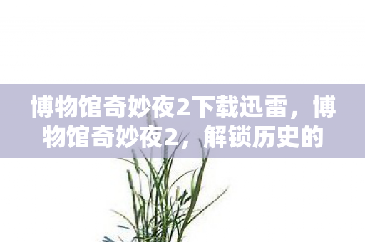 博物馆奇妙夜2下载迅雷，博物馆奇妙夜2，解锁历史的奇幻之旅